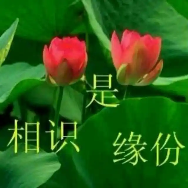 相爱容易,相守难!相吸容易,相懂难|容易|一世|学会_新浪新闻