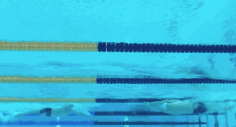 354_192gif 动态图 动图