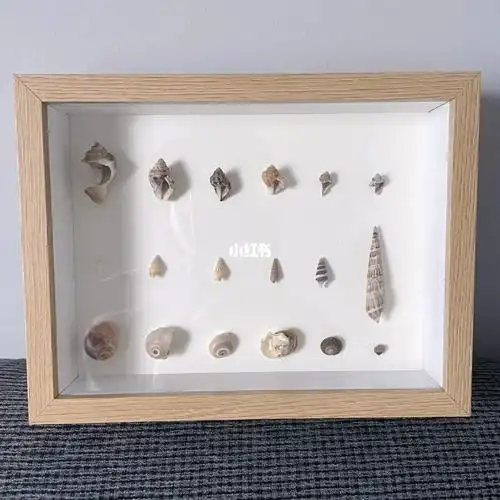 超简单的贝壳装饰画