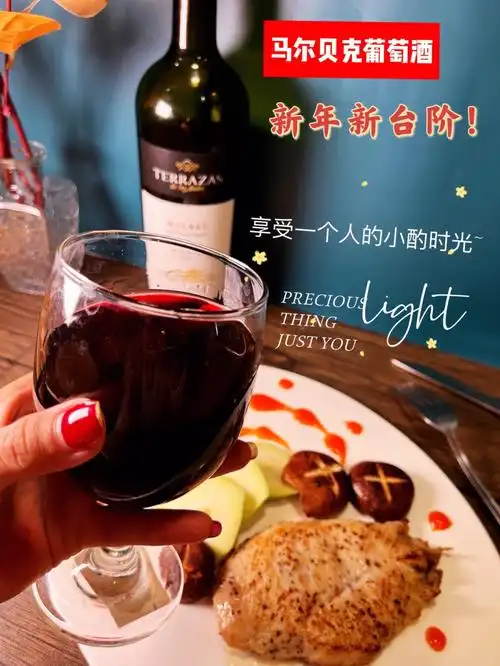 享受一个人的小酌时光马尔贝克台阶红酒