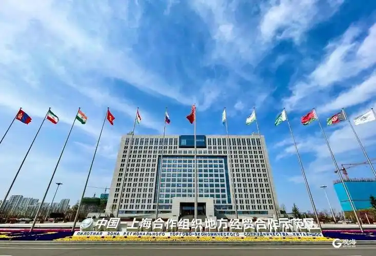 上海合作组织地方经贸合作示范区(以下简称"上合示范区")的国有资本