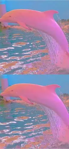 抖音精选壁纸丨全面屏壁纸