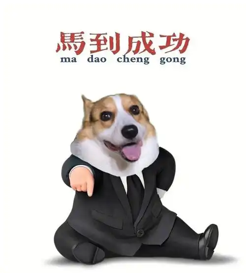 太搞笑啦#柯基  #搞笑  #抠图素材