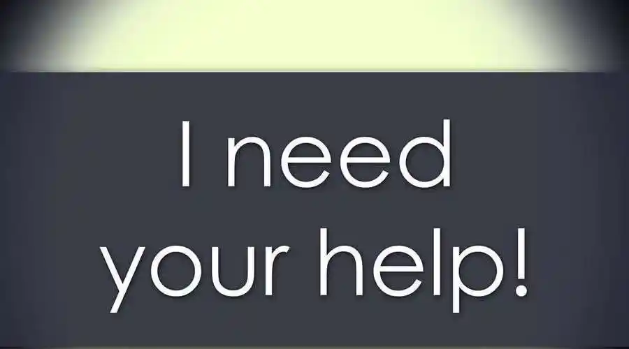 我需要你的英文是什么 谢谢