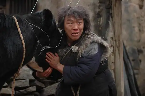 《斗牛》剧照黄渤和牛相依为命新浪娱乐讯 "男人一旦有钱就会变坏.