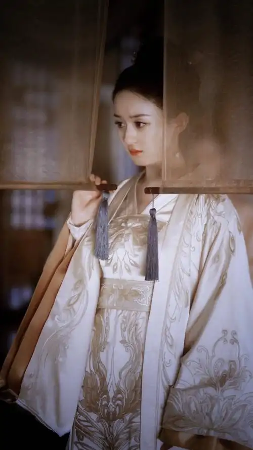 (赵丽颖)盛明兰.