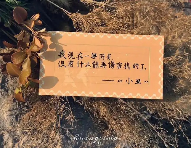 我现在一无所有,没有什么能再伤害我的了.——《小丑》