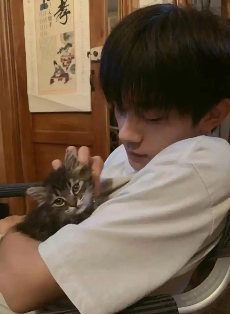 海鸥也会为我停留,那你呢00#易烊千玺 #女友视角 #笨蛋帅 - 抖音