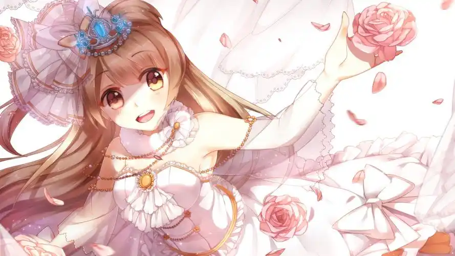 动漫里的性感美少女