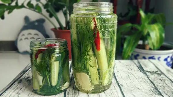 super辣妈美厨娘做的【健康泡菜】美式酸黄瓜dill pickles