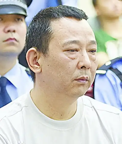 手段有狠毒?_刘汉_刘维_四川