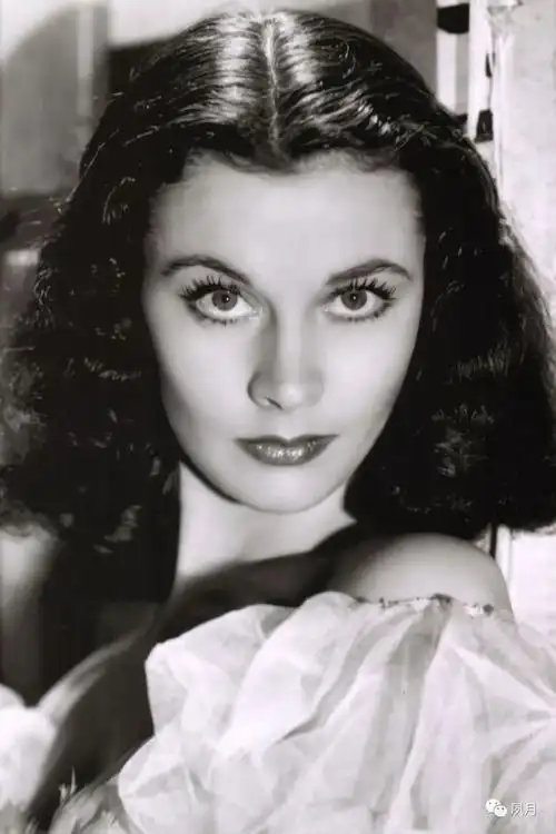 演员合集002费雯丽vivienleigh