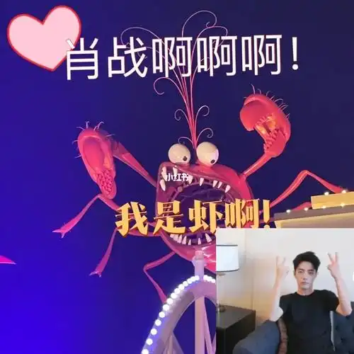 肖战的剪刀手和虾的剪刀手