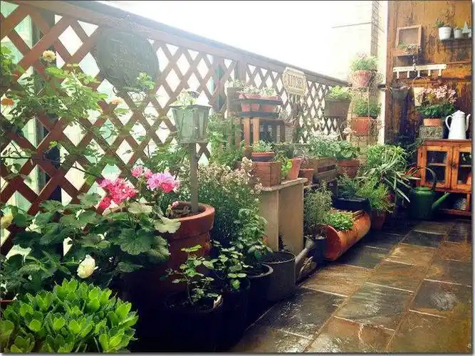 我的"阳台小花园",一摆弄好有意境啊!