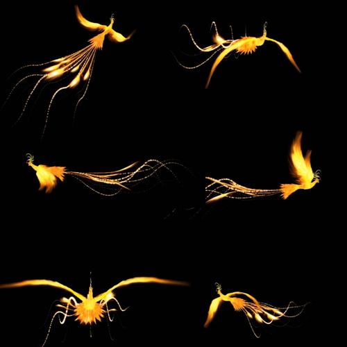 凤凰飞舞带通道透明视频素材 火焰金色火凤凰浴火重生led大屏幕