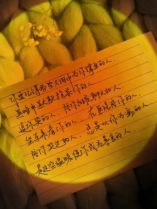 手写生活明朗万物可爱