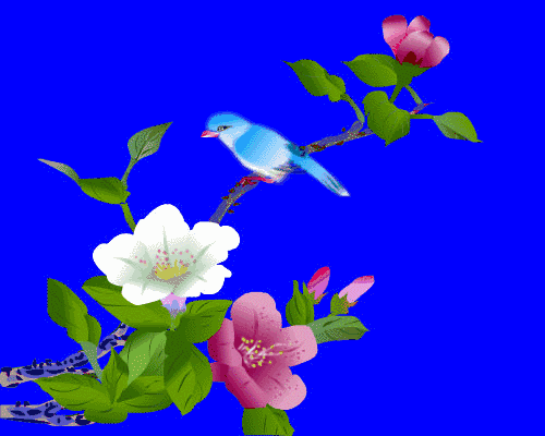 鸟语花香及3d影片,好美!