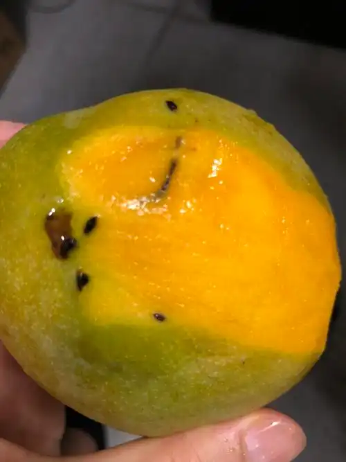 金煌芒大青芒果时令热带水果 带箱5斤大果商家:苏宁自营不错,没有坏的