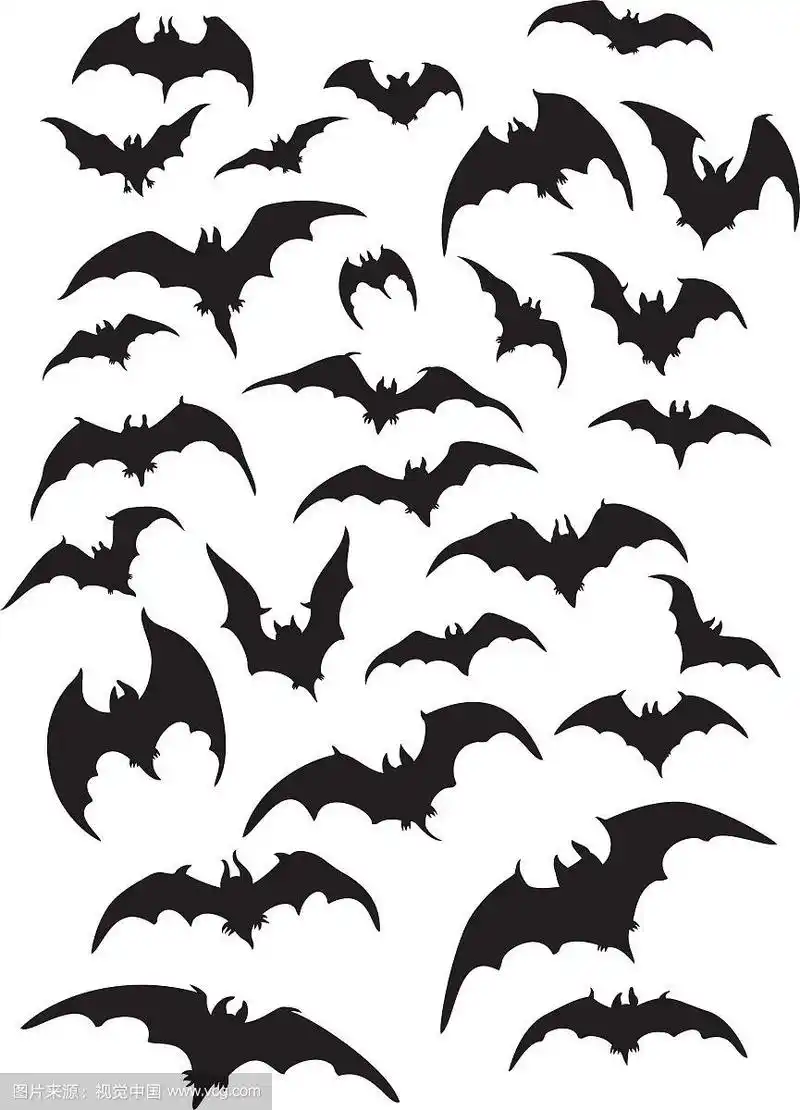 蝙蝠轮廓集