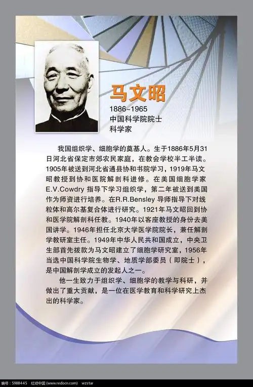 马文昭人物简介展板设计