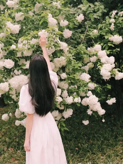 四月的浪漫是绣球花给的