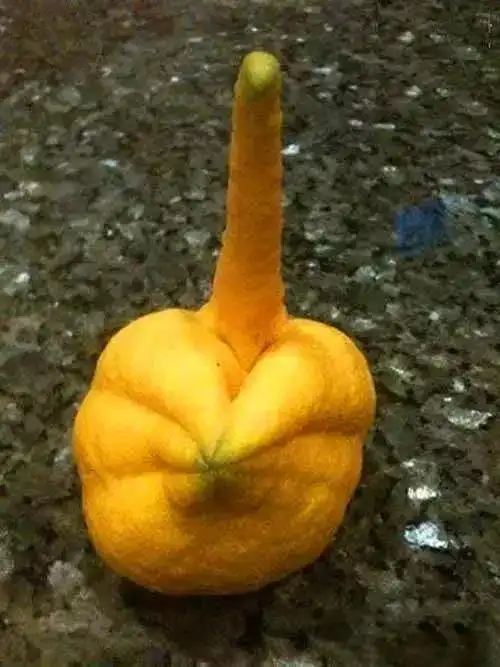 发几张不正经的照片给大家看看,笑死人不偿命!-爆笑囧图