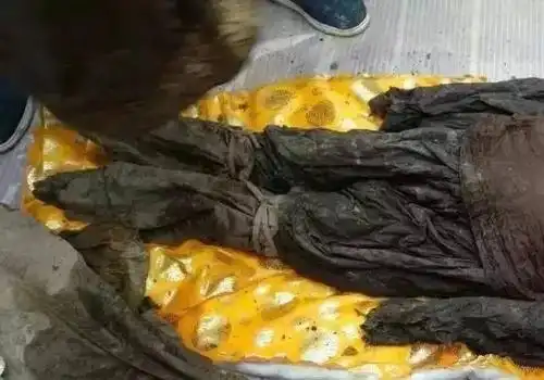 先有辱母杀人,后有扒坟弃尸,中国人这是怎么了?