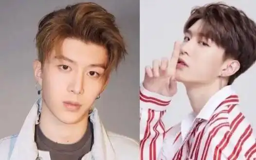 范丞丞是范冰冰的亲弟弟,不是范冰冰和洪金宝的儿子,范冰冰和范丞丞这