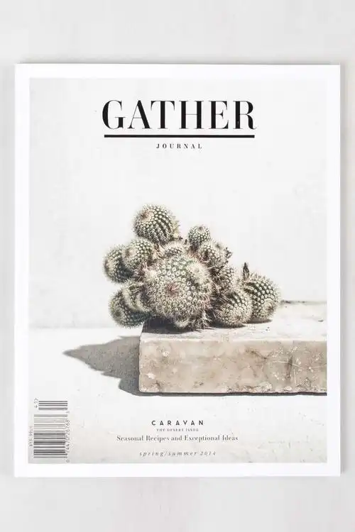 10张漂亮的杂志封面设计 - 设计前沿