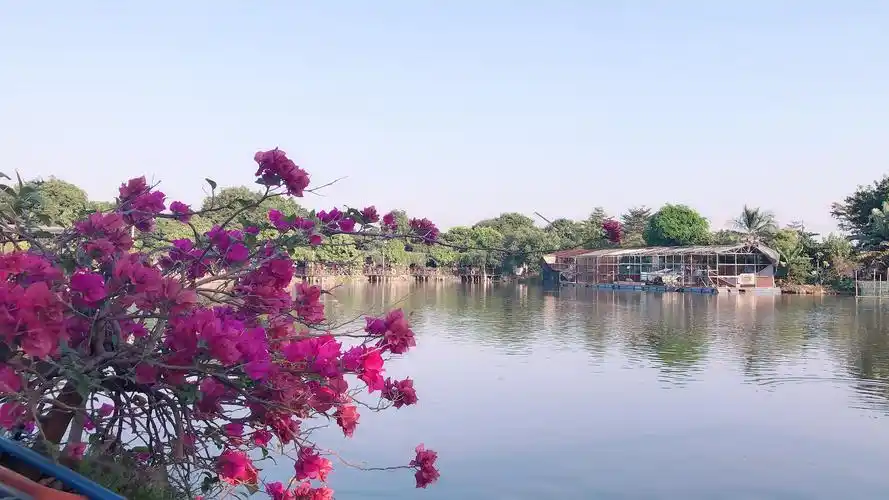 有水,有鱼,还有