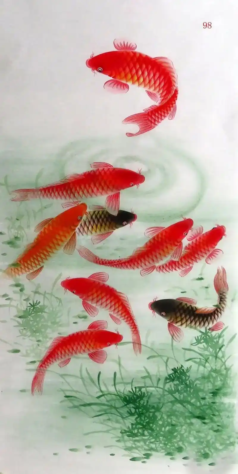 九条鲤鱼代表什么意思 - 抖音