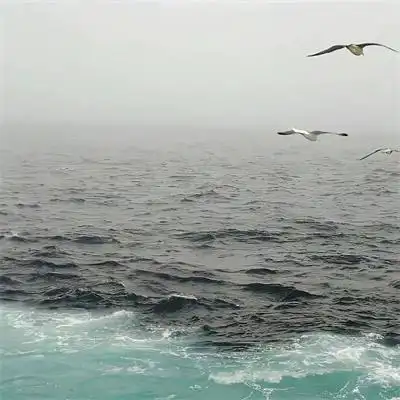 唯美治愈高级大自然风景头像图片