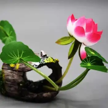 菜荷花刺身盘子酒店创意日式陶瓷个性餐具特色餐厅水果盘仿真荷花盘饰