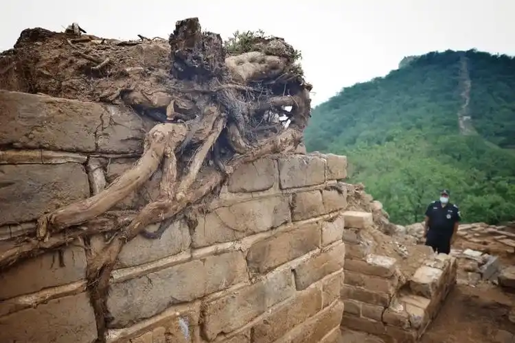 大庄科长城研究性修缮考古现场还原长城坍塌动态过程