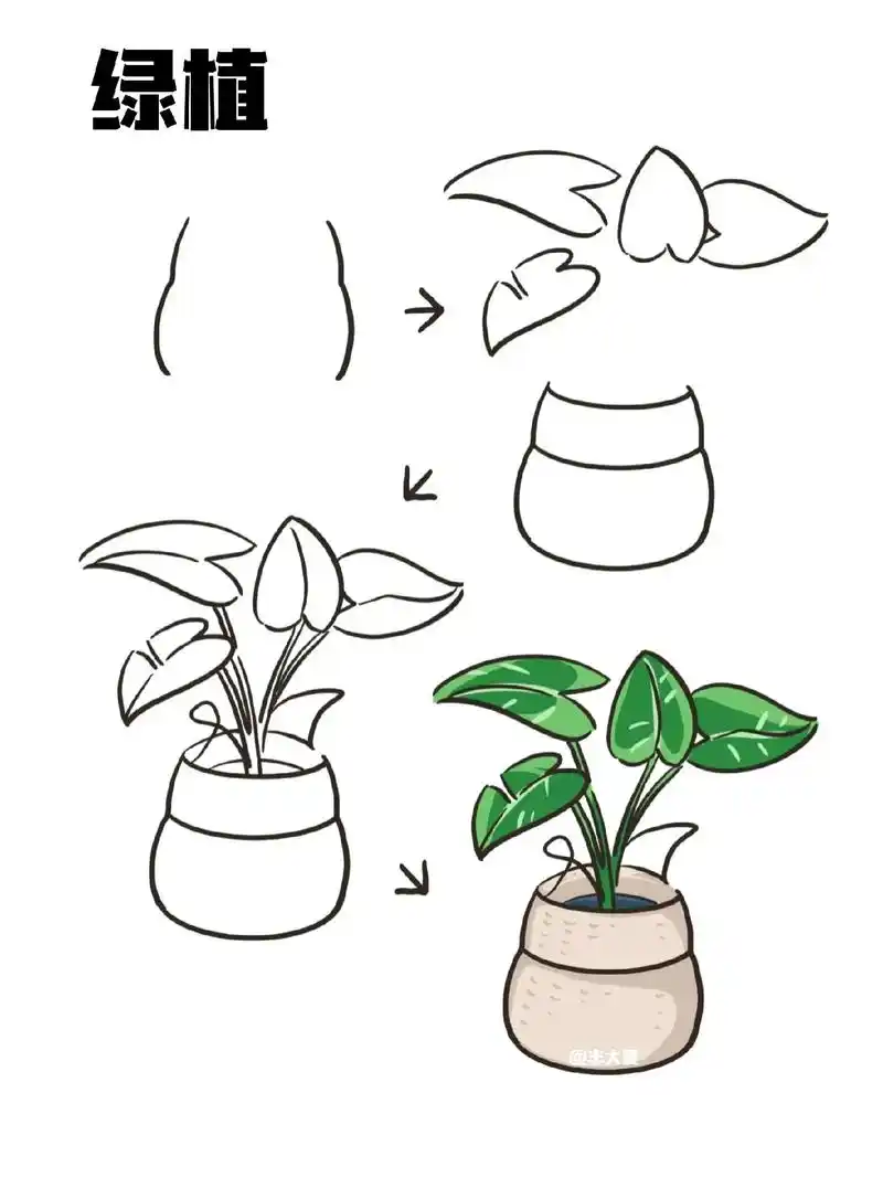 简笔画 #零基础学画画 #绿植盆栽 #简 - 抖音