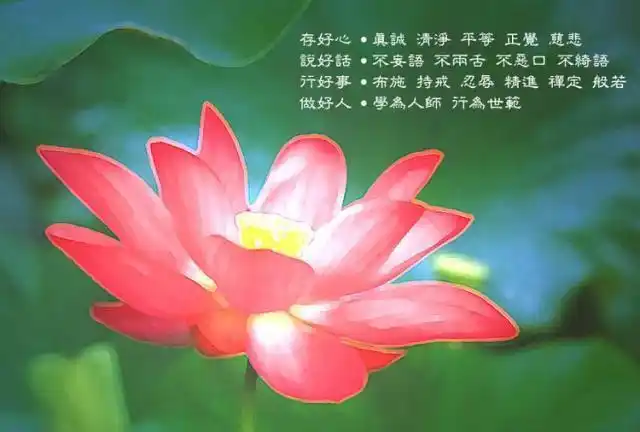 佛座称为"莲花座";结跏跌坐的姿势称为莲花坐势;佛教所宣传的极乐世界