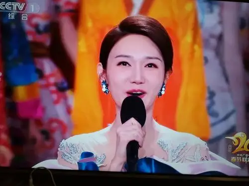 2021春晚主持人风采