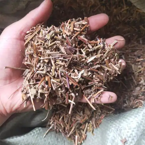 批发中药材白毛夏枯草 散血草 筋骨草 苦草 四季春草