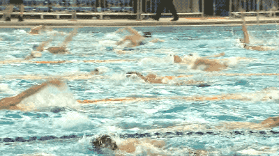 泳往雅加达|全国最会游泳的人都到了这里