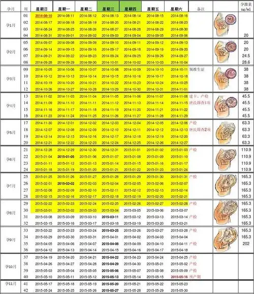 怀孕40周胎儿发育每周情况表-新版