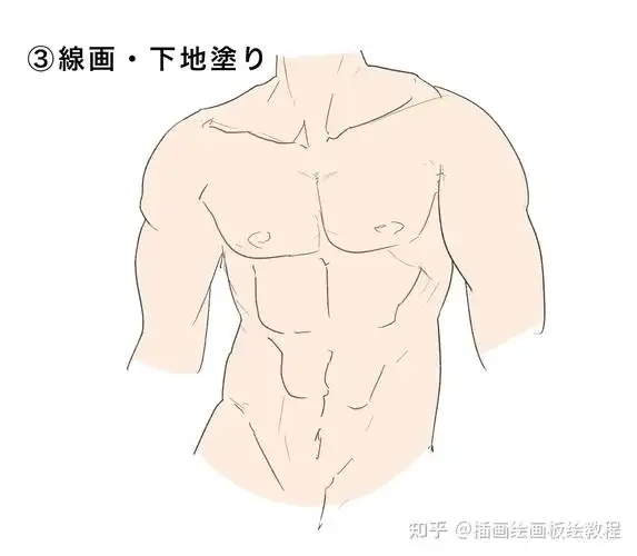 绘画教程漫画人物肌肉怎么画教你动漫人物腹肌画法技巧讲解