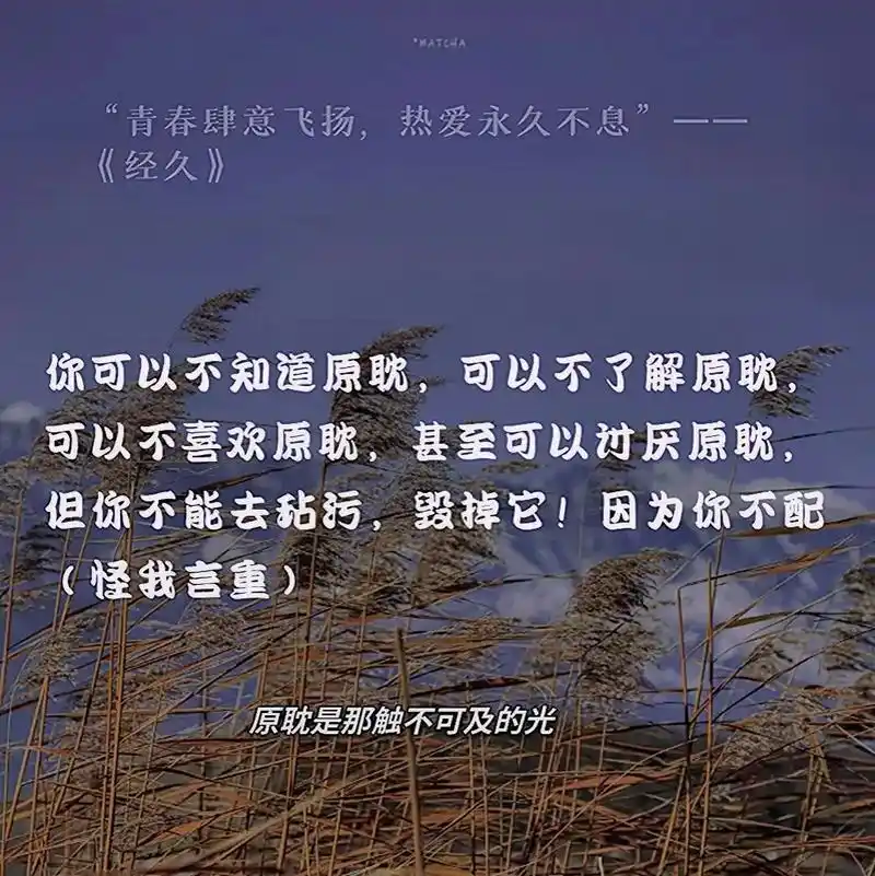 永远忘不掉的原耽语录#小说推文 #句子  @dou 小助手  - 抖音