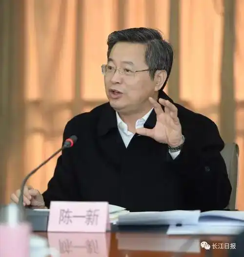 武汉市委书记陈一新顽强拼搏实现赶超发展官帽要用于干事业