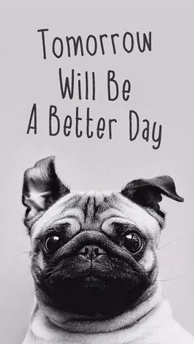 锁屏主屏套图系列锁屏壁纸来袭,快快接住!