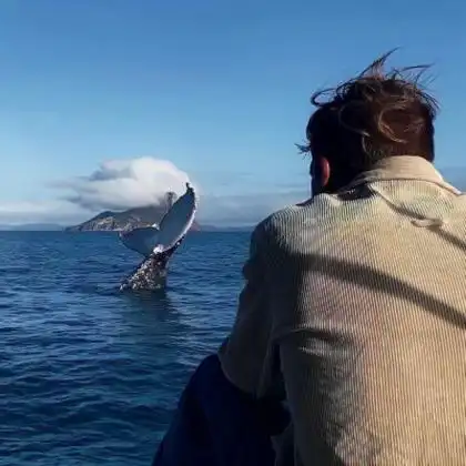 男头像背影超清帅气,好看的男生看风景背影帅气头像图片_男生头像