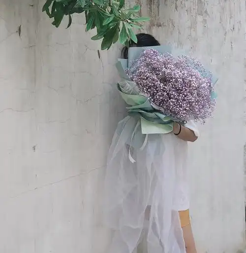 满天星干花 花束 淡紫色