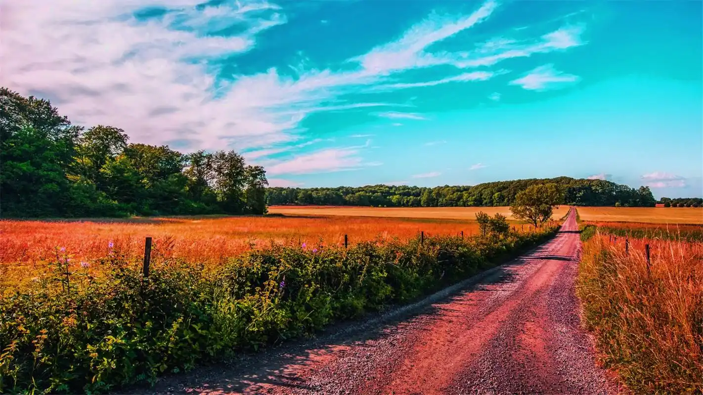 一切都是最好的安排