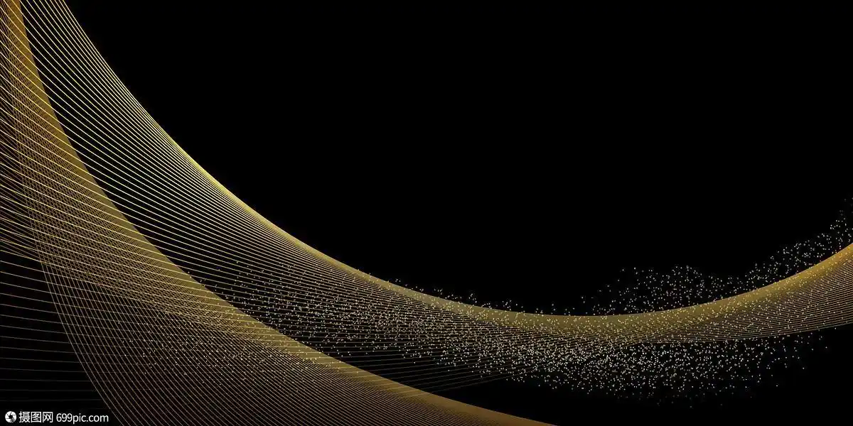 大气黑金质感商务科技线条