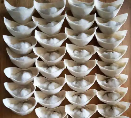 下一步开始包水饺了(皮是买来预备好的)我包的水饺是不是很像元宝呢