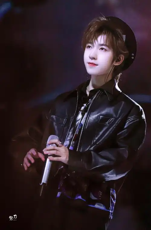 贺峻霖 梦蝶破笼##贺峻霖 全能美颜主舞